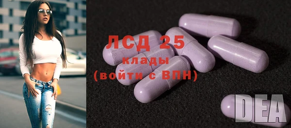 PSILOCYBIN Бронницы