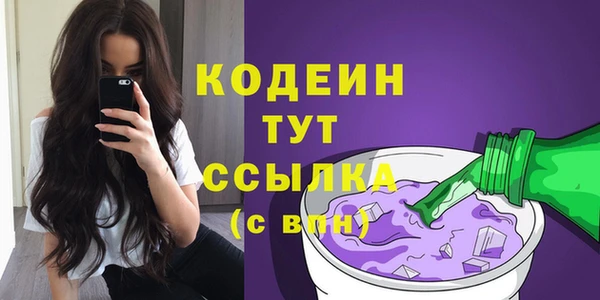 гашик Бородино