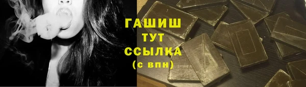 индика Ростов