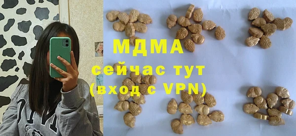 гашик Бородино