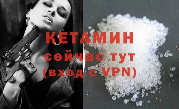 гашик Бородино
